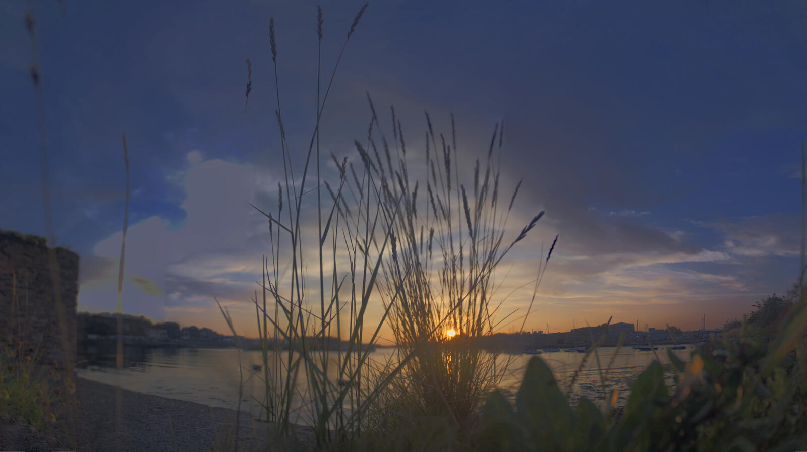 Click image for larger version

Name:	Other Oreston grass focus.jpg
Views:	40
Size:	111.5 KB
ID:	991190