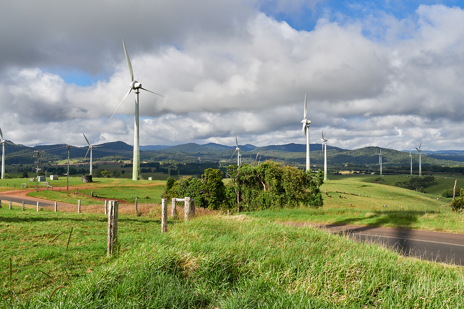 Click image for larger version

Name:	LJG33732.jpg
Views:	33
Size:	1.09 MB
ID:	991396