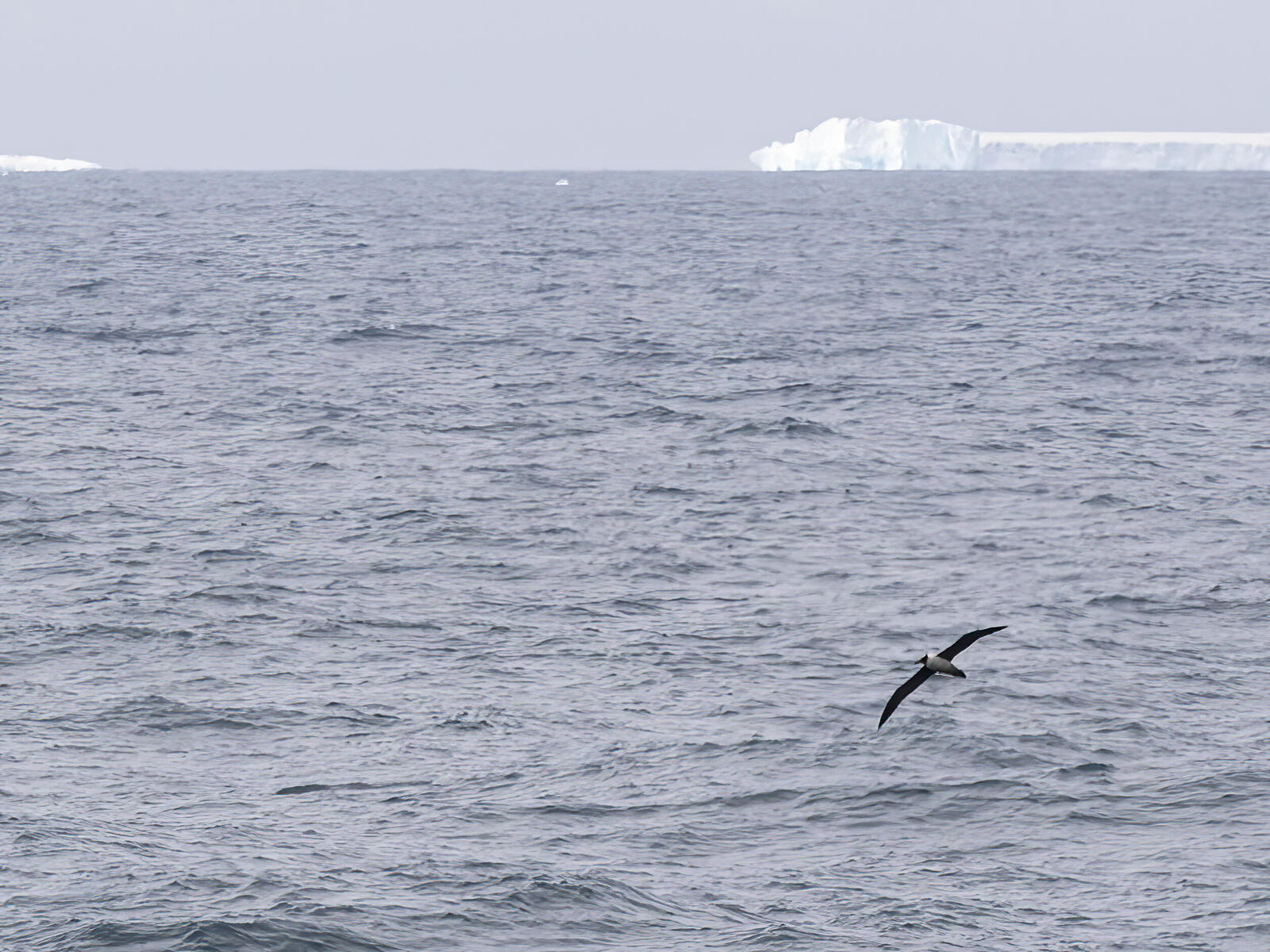 Click image for larger version

Name:	_C273768-d-s-Standard.jpg
Views:	368
Size:	331.0 KB
ID:	991537