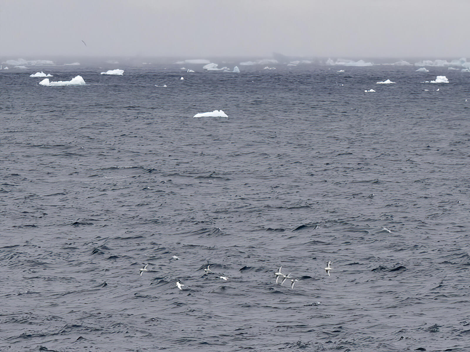 Click image for larger version

Name:	_C273952-d-s-Standard.jpg
Views:	54
Size:	367.5 KB
ID:	991538