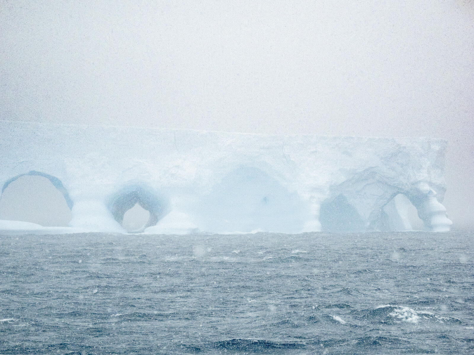 Click image for larger version

Name:	_C263729.jpg
Views:	57
Size:	363.1 KB
ID:	991545