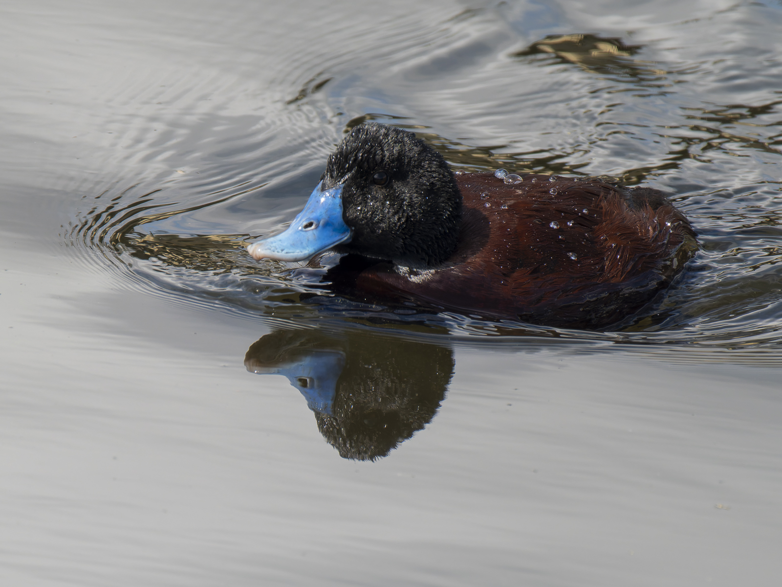 Click image for larger version

Name:	post-2.jpg
Views:	540
Size:	971.4 KB
ID:	992295