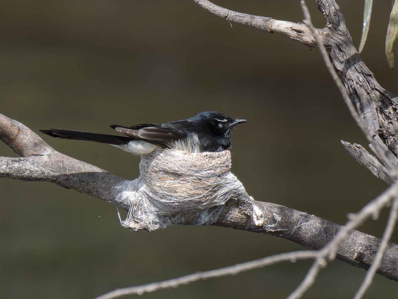 Click image for larger version

Name:	post-9.jpg
Views:	54
Size:	1.05 MB
ID:	992296