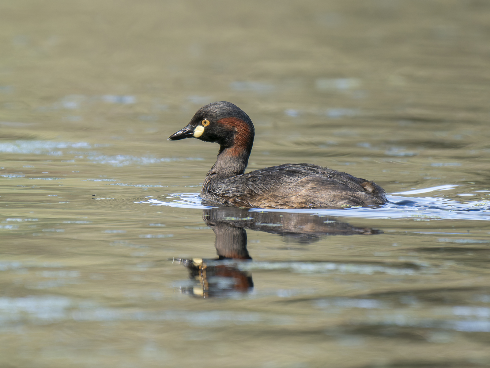 Click image for larger version

Name:	post-11.jpg
Views:	55
Size:	977.1 KB
ID:	992297