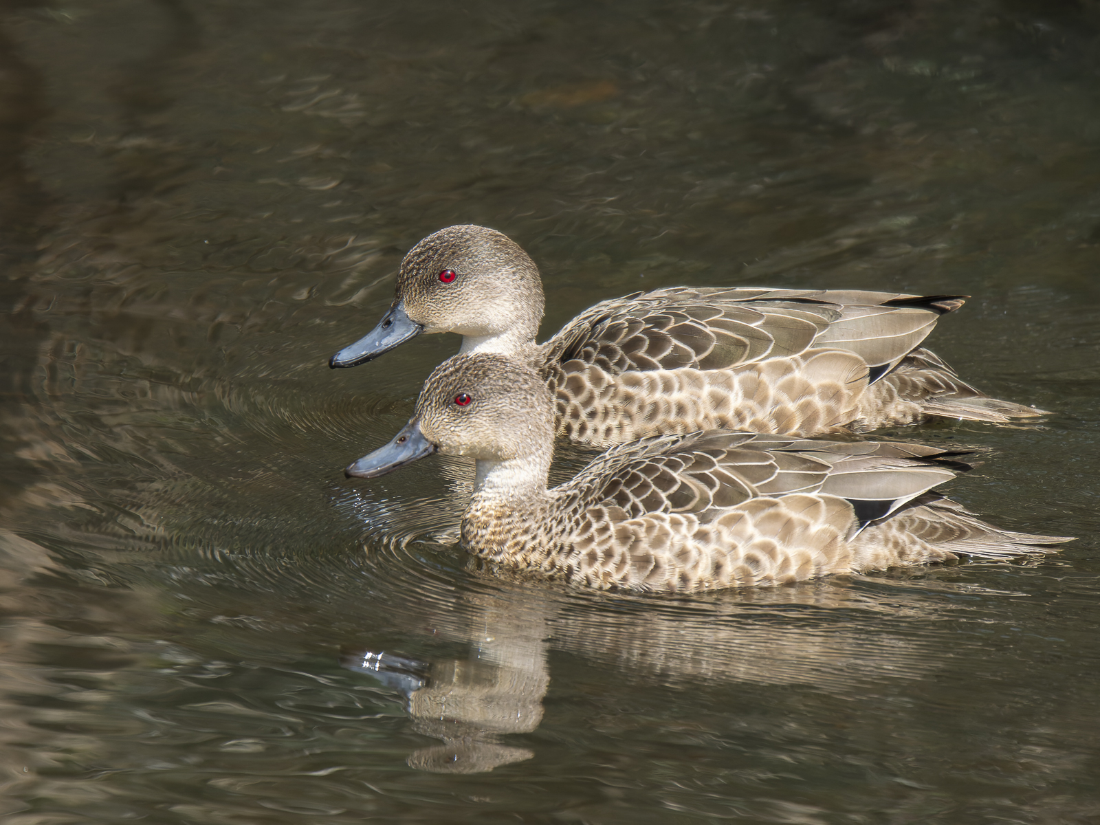 Click image for larger version

Name:	post-10.jpg
Views:	57
Size:	1.22 MB
ID:	992299