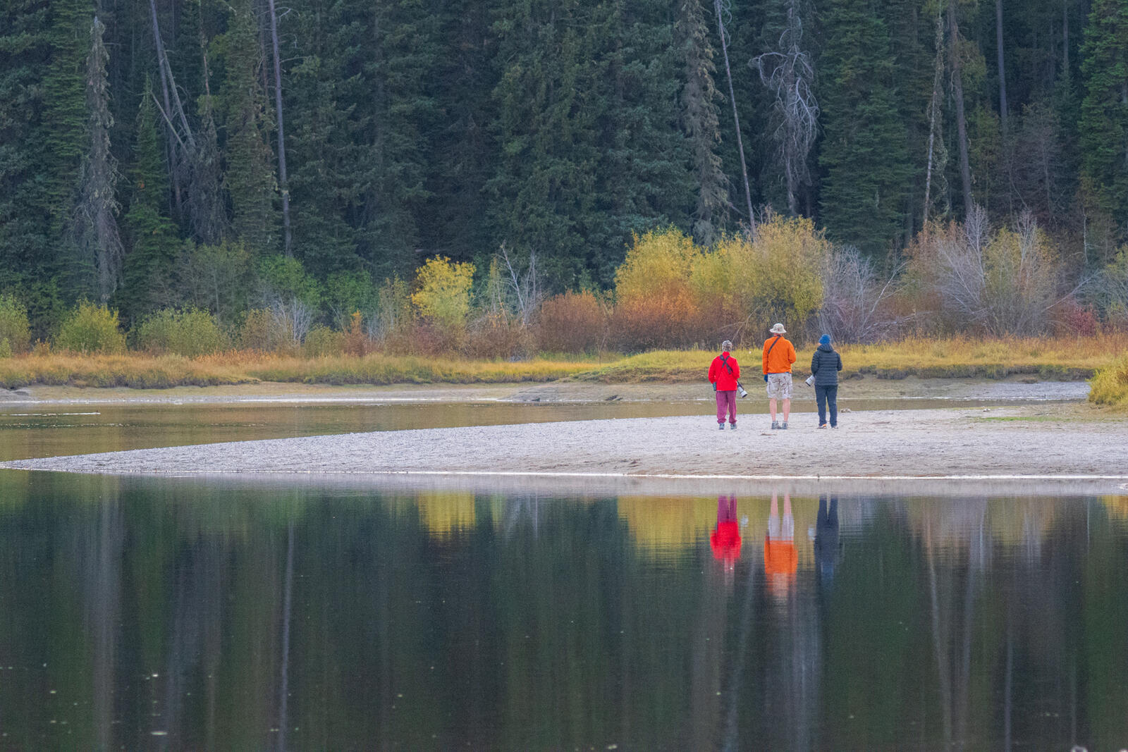 Click image for larger version  Name:	_9300662.jpg Views:	0 Size:	325.6 KB ID:	995762