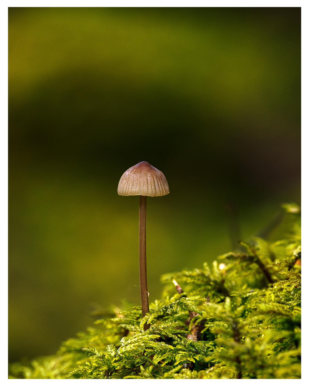 Click image for larger version

Name:	PA123647-Enhanced-NR.jpg
Views:	588
Size:	259.7 KB
ID:	996607