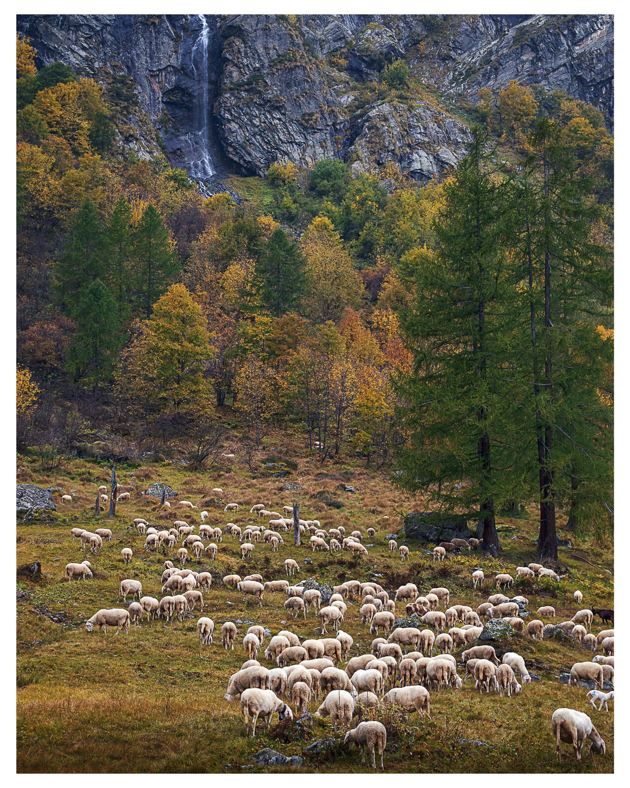 Click image for larger version

Name:	PA123662.jpg
Views:	388
Size:	711.2 KB
ID:	996917