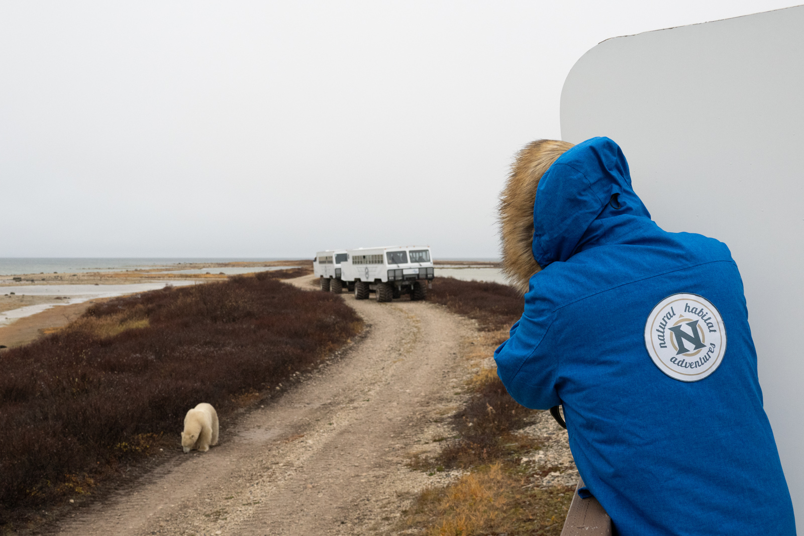 Click image for larger version

Name:	_A171328.jpg
Views:	448
Size:	719.3 KB
ID:	997662