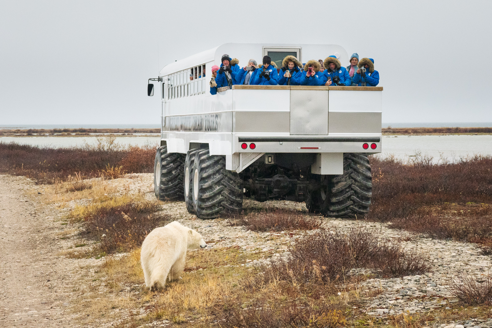 Click image for larger version

Name:	_A171304.jpg
Views:	107
Size:	1.19 MB
ID:	997663