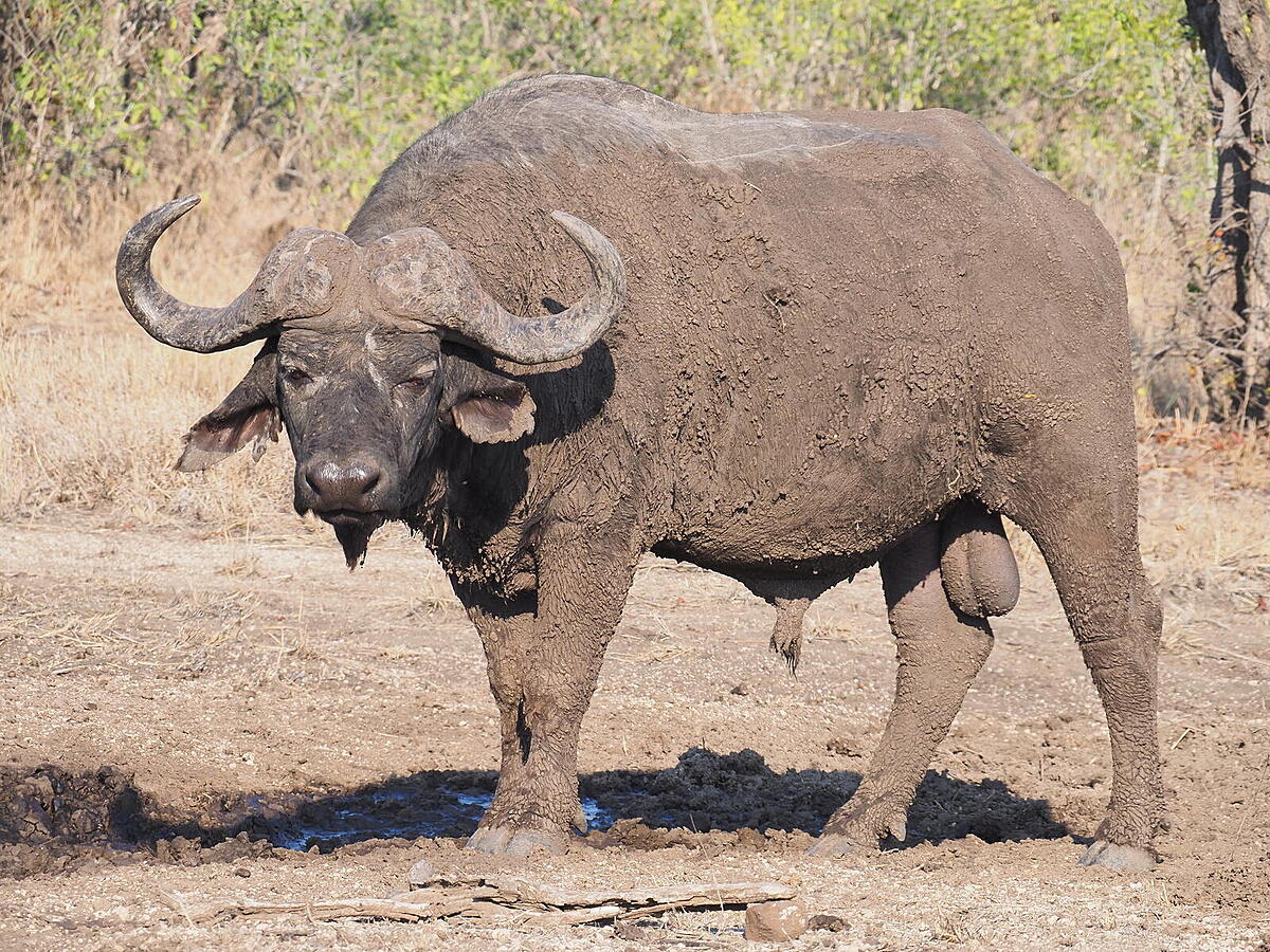 Click image for larger version

Name:	BDF51535.jpg
Views:	122
Size:	497.0 KB
ID:	999517