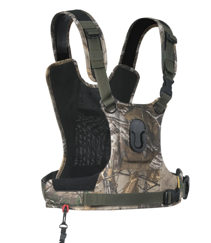 Click image for larger version

Name:	image.png
Views:	131
Size:	576.2 KB
ID:	1001864