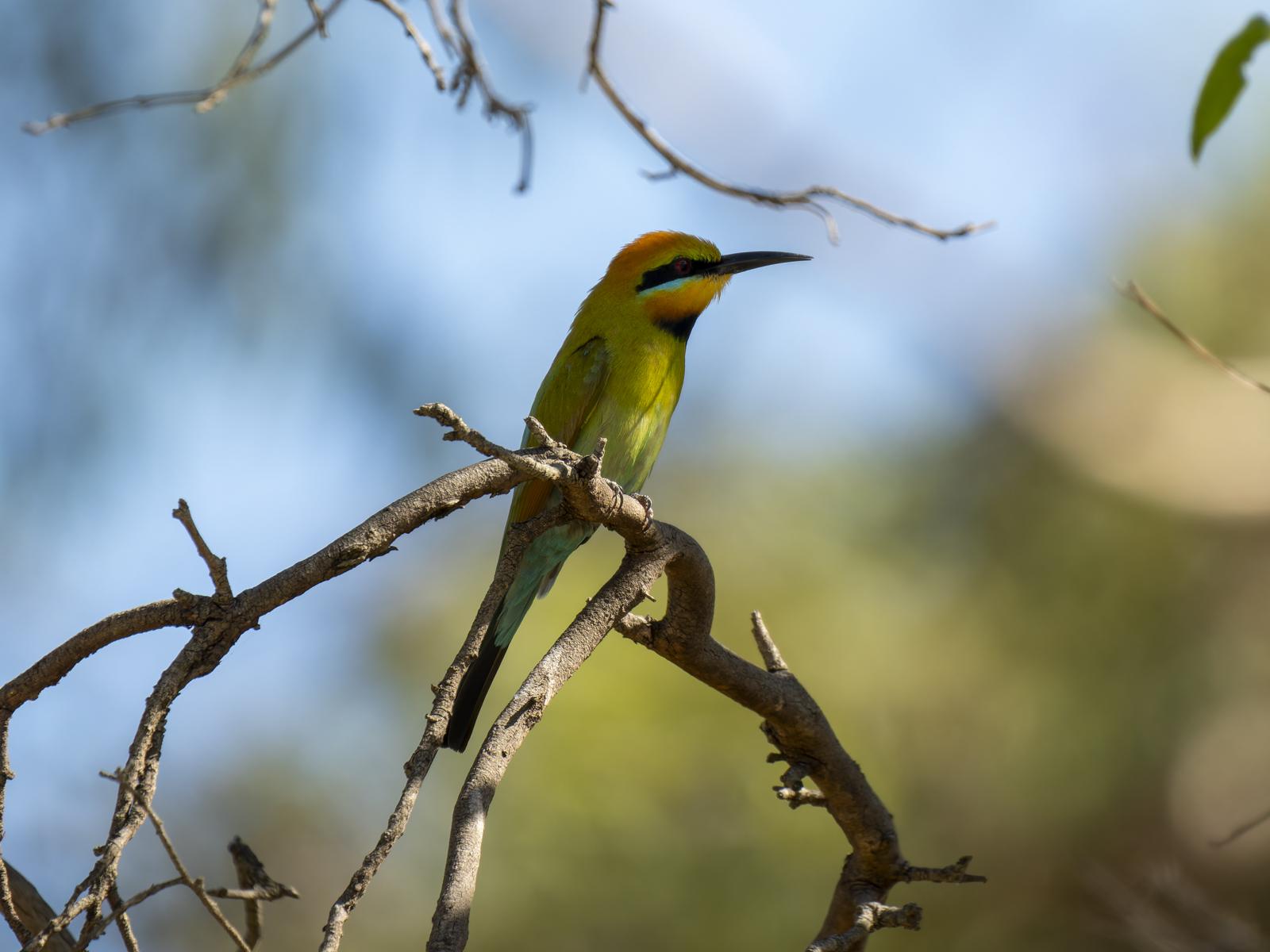 Click image for larger version

Name:	p-7.jpg
Views:	54
Size:	797.8 KB
ID:	1002345