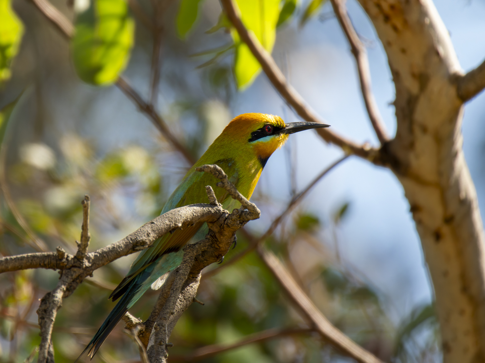 Click image for larger version

Name:	p-8.jpg
Views:	48
Size:	902.4 KB
ID:	1002346