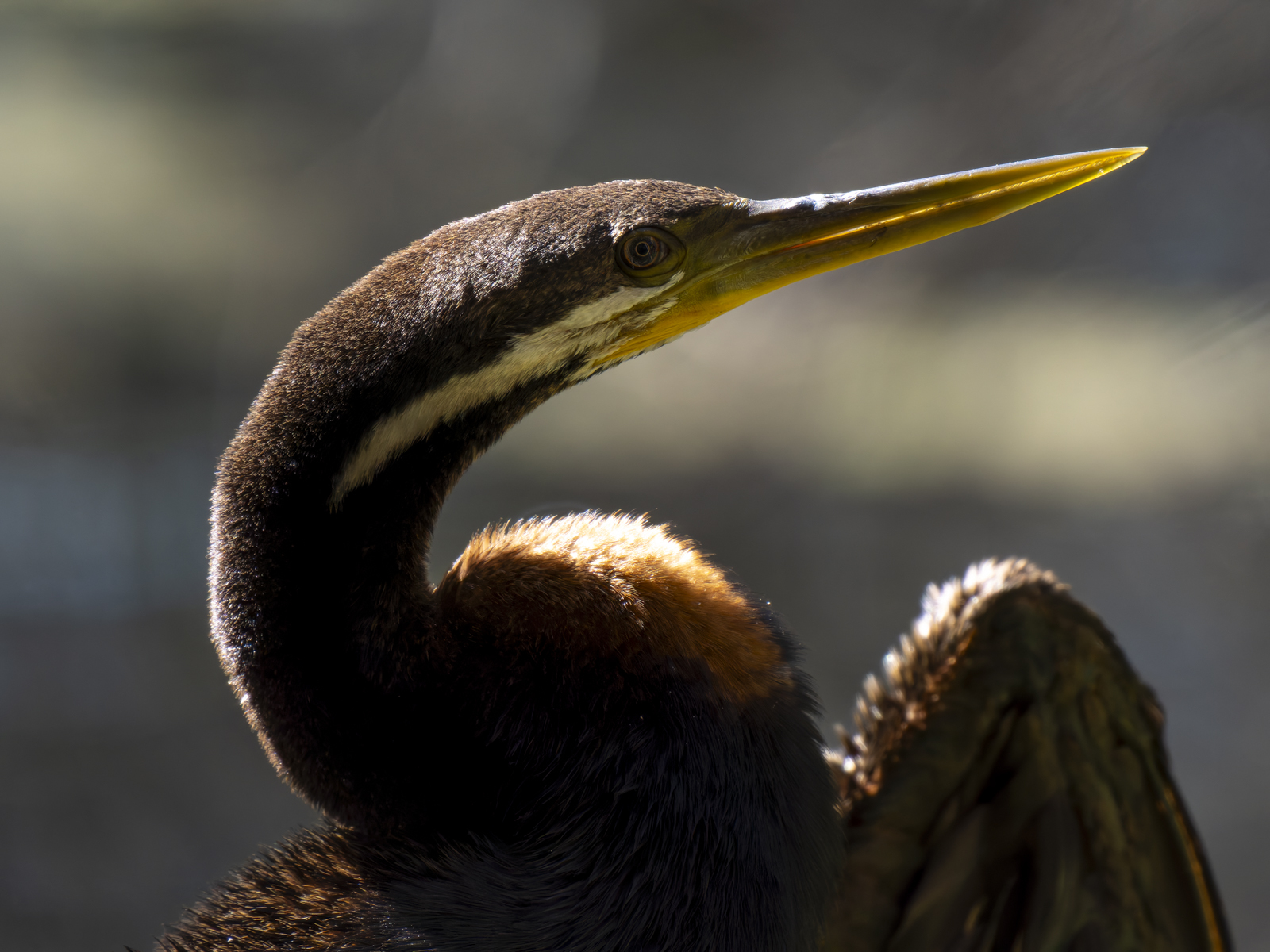 Click image for larger version

Name:	p-3.jpg
Views:	51
Size:	889.6 KB
ID:	1002347