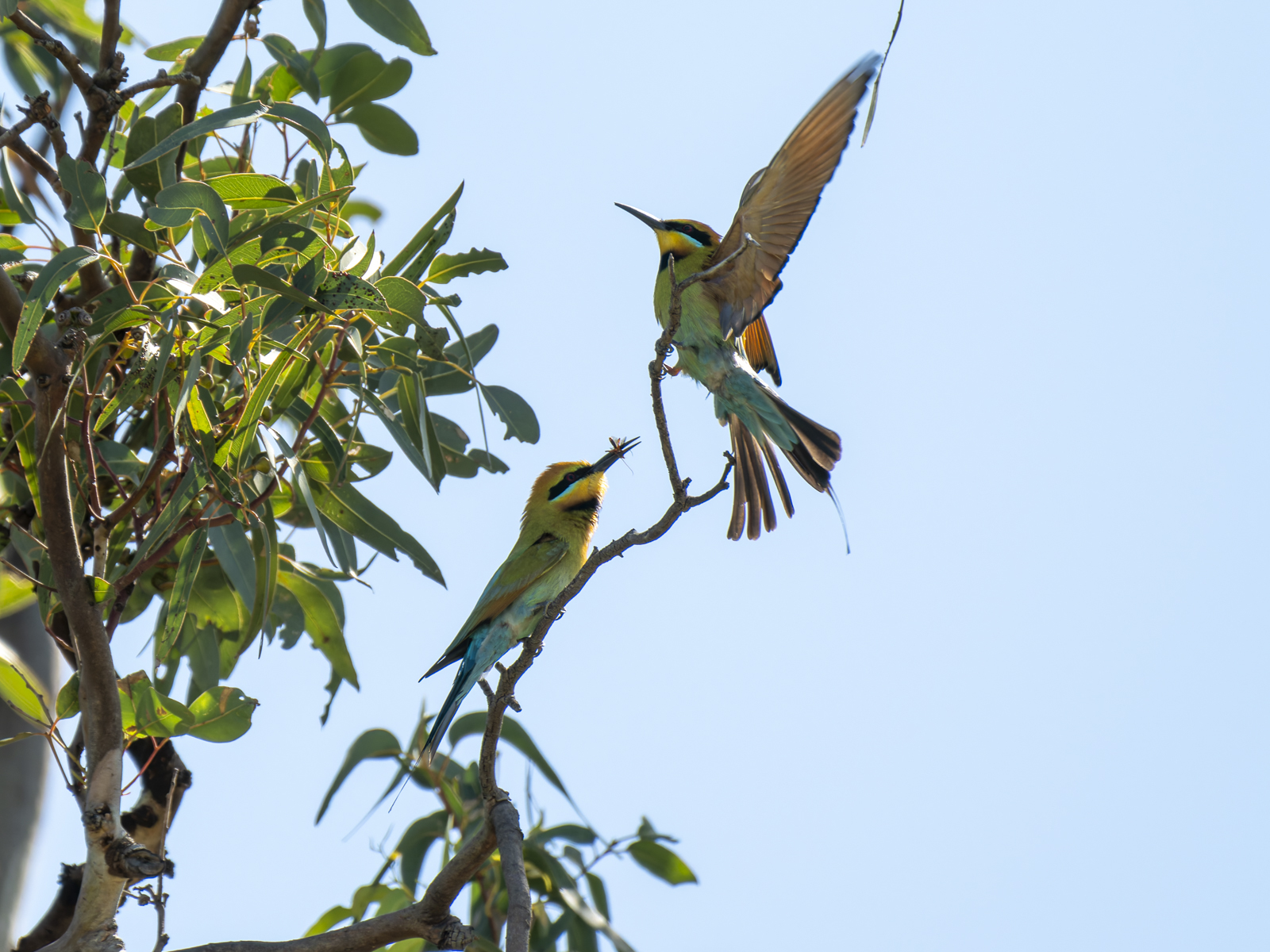 Click image for larger version

Name:	p-6.jpg
Views:	53
Size:	1,004.8 KB
ID:	1002348