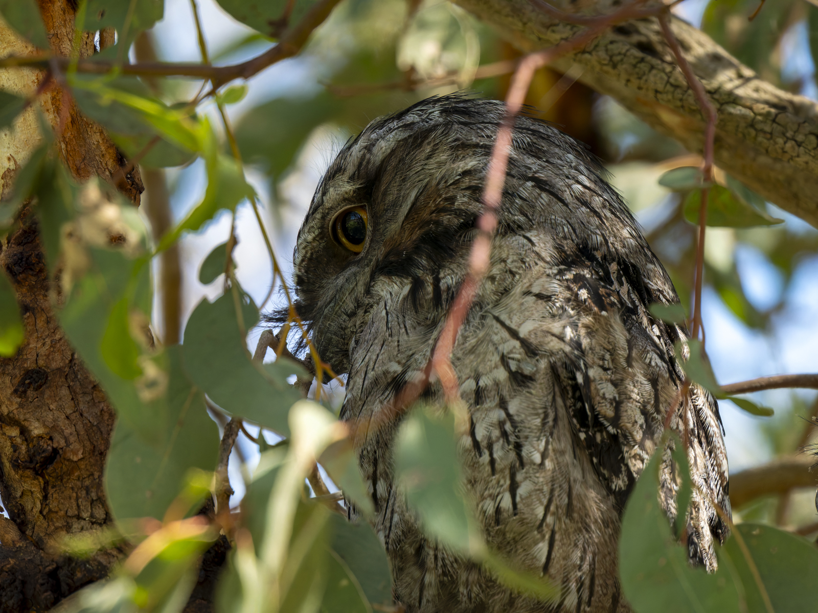 Click image for larger version

Name:	p-4.jpg
Views:	56
Size:	1.26 MB
ID:	1002350