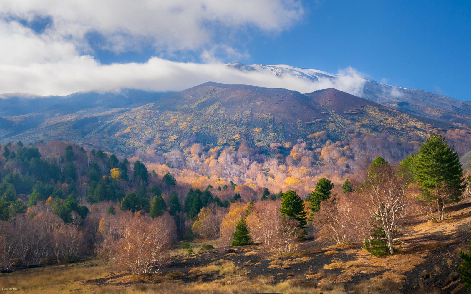 Click image for larger version

Name:	MtEtna.jpg
Views:	606
Size:	363.4 KB
ID:	1002820