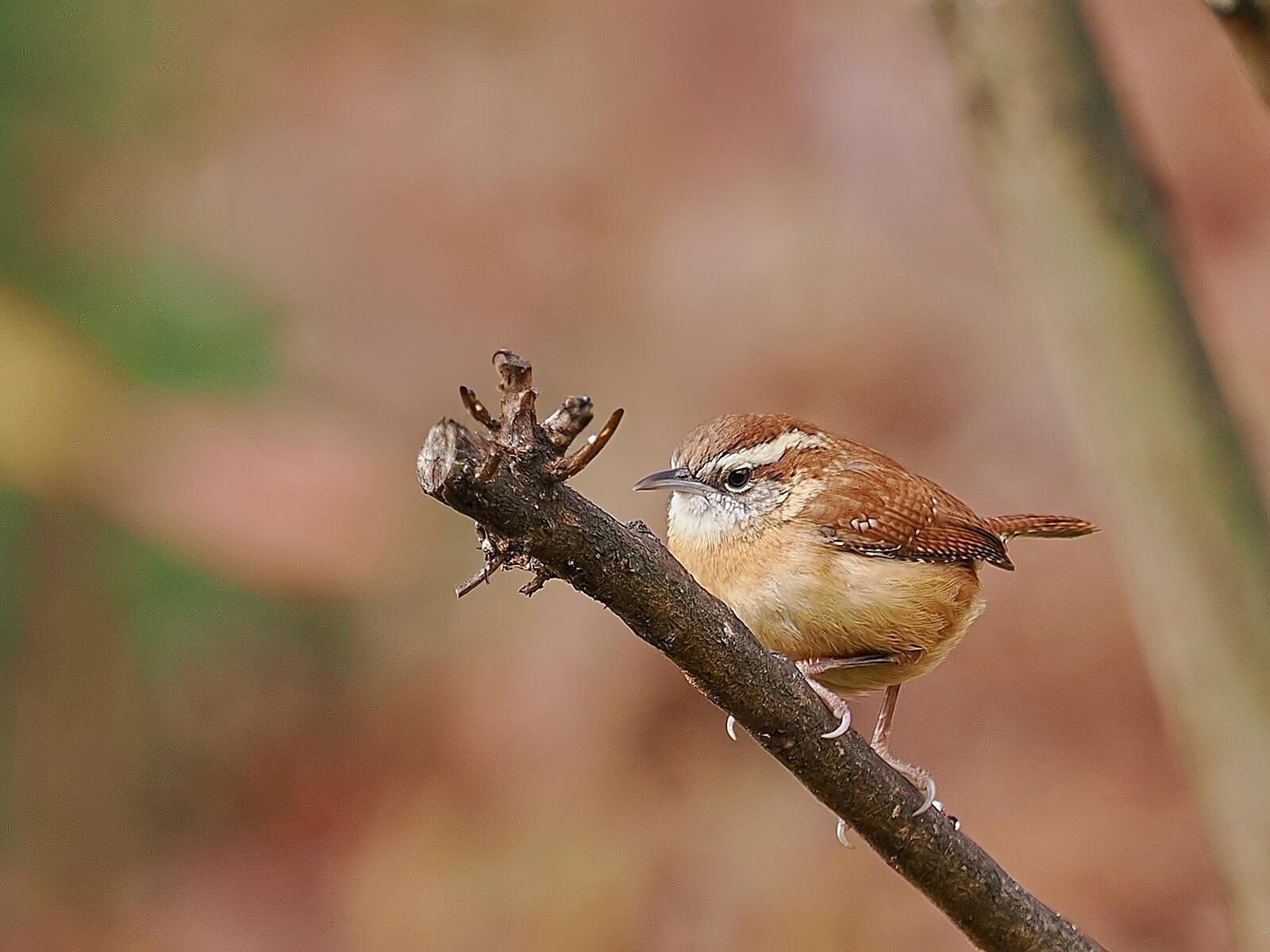 Click image for larger version

Name:	PC206076_filtered 1.jpg
Views:	50
Size:	175.7 KB
ID:	1004088