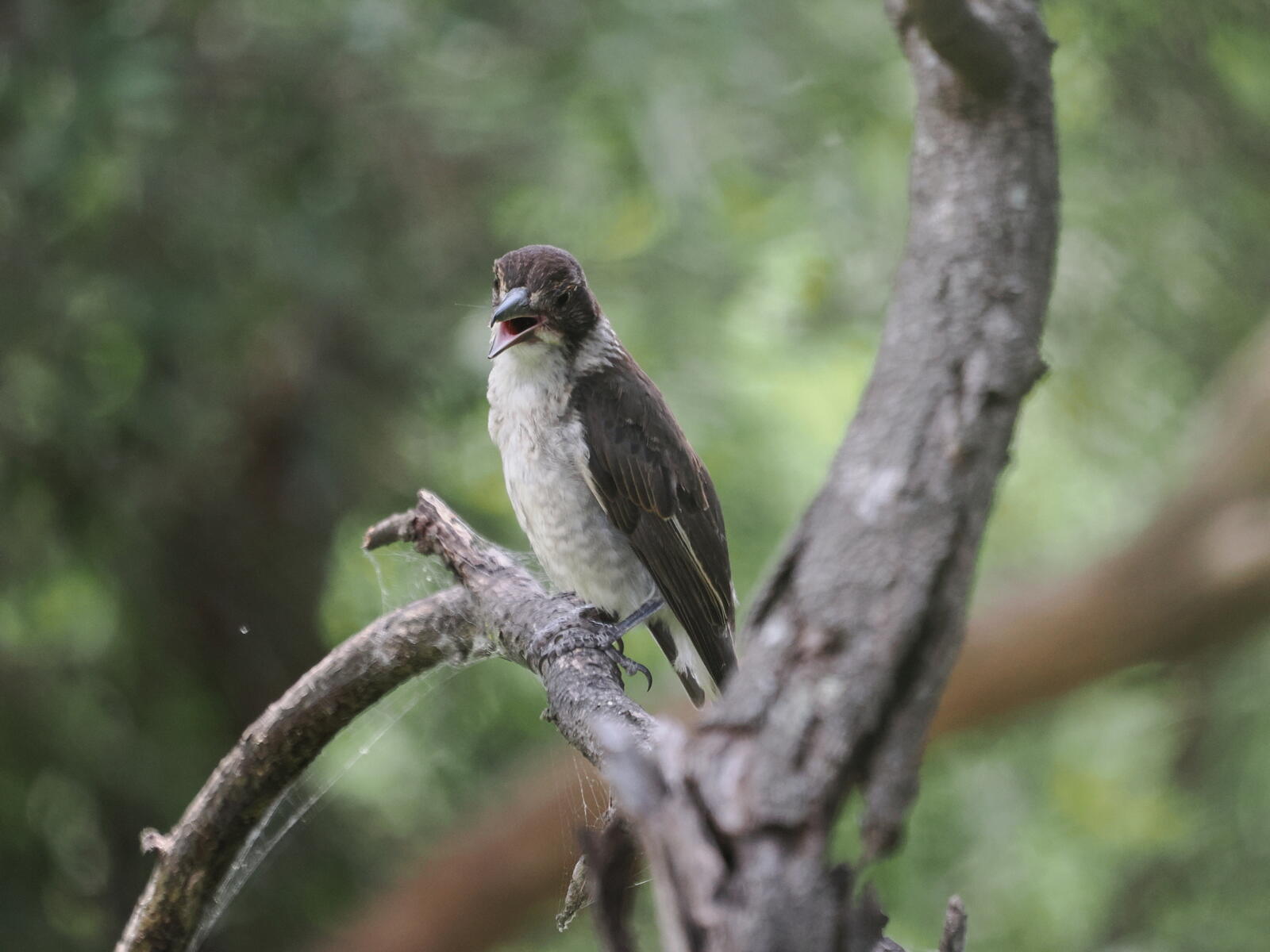 Click image for larger version  Name:	JC288287-ms.jpg Views:	2 Size:	155.7 KB ID:	1004632