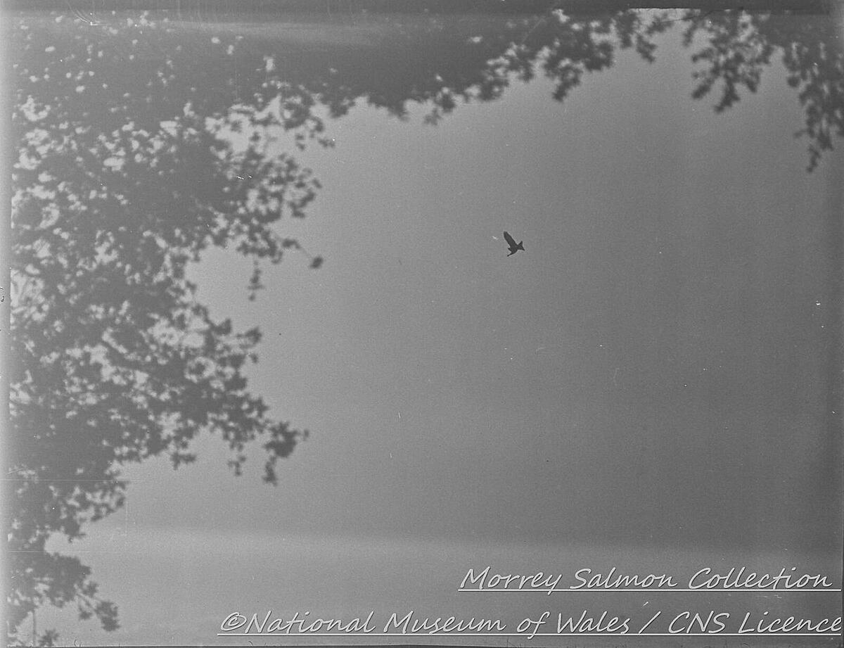 Click image for larger version

Name:	2360.jpg
Views:	70
Size:	181.3 KB
ID:	1006956