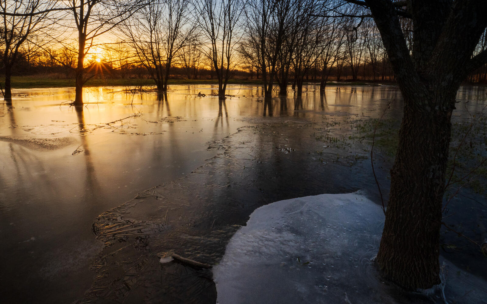 Click image for larger version

Name:	_2221786.jpg
Views:	573
Size:	387.5 KB
ID:	1010965