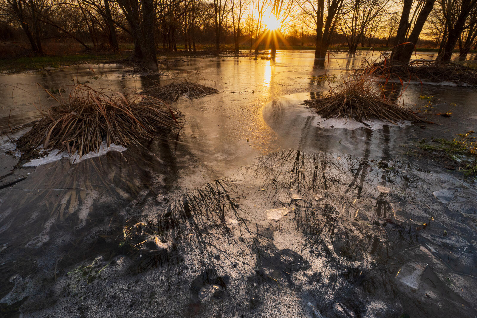 Click image for larger version

Name:	_2221830.jpg
Views:	44
Size:	581.0 KB
ID:	1010967