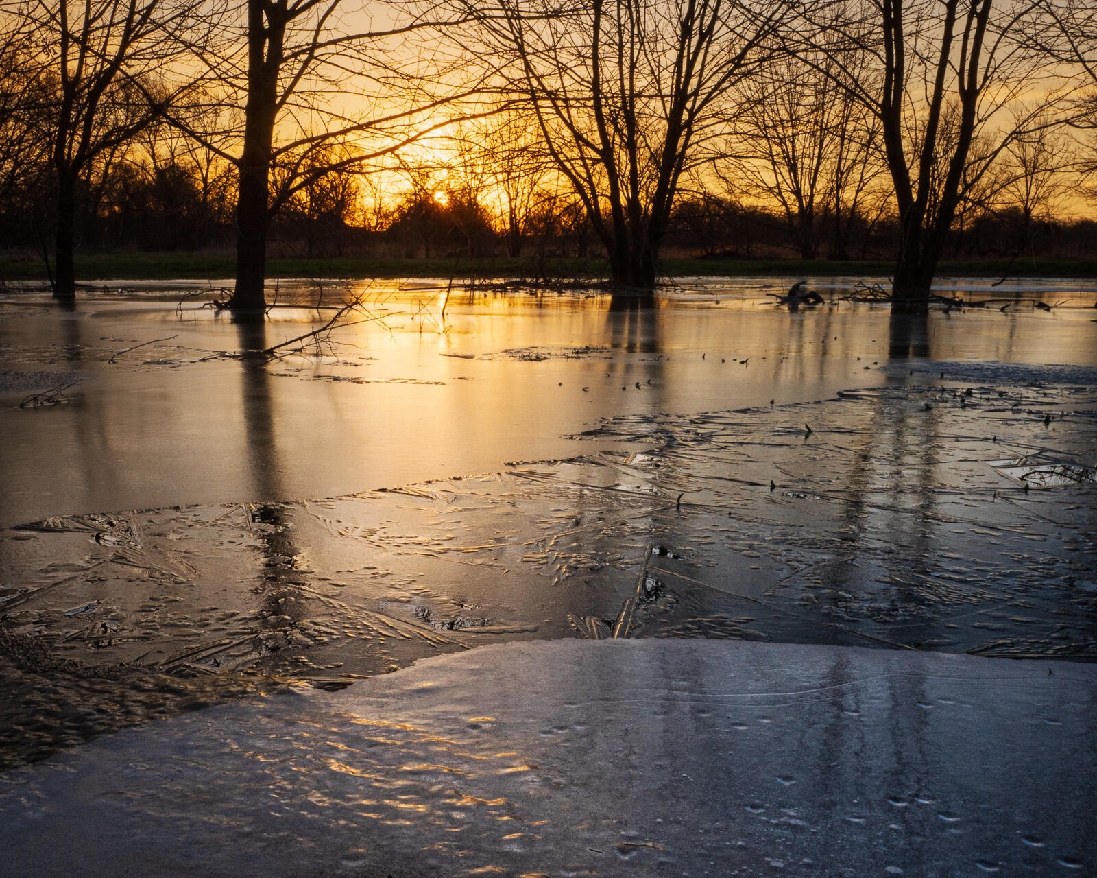 Click image for larger version

Name:	_2221776.jpg
Views:	42
Size:	599.6 KB
ID:	1010969