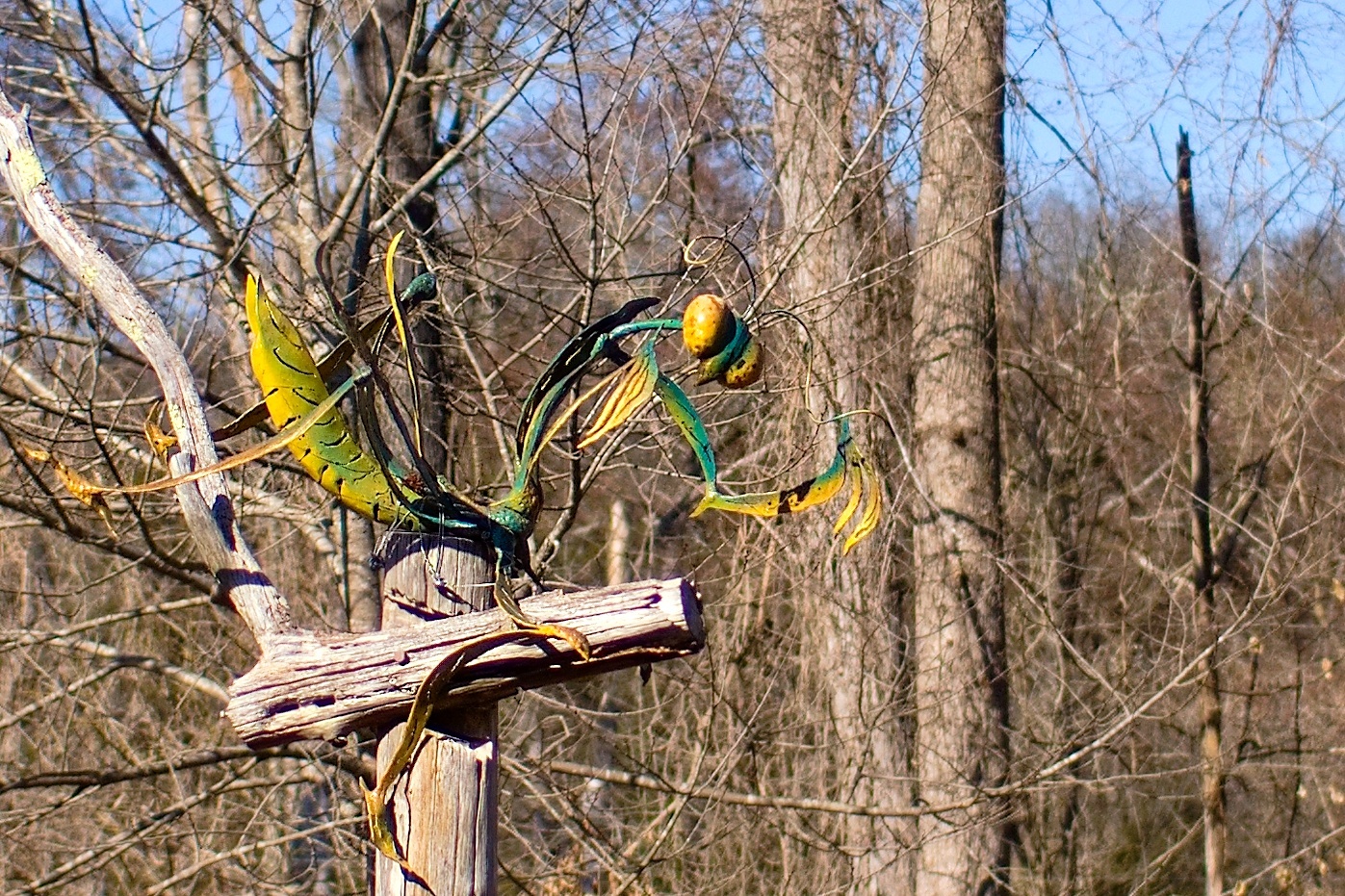 Click image for larger version

Name:	P2259125.jpg
Views:	590
Size:	757.3 KB
ID:	1011369