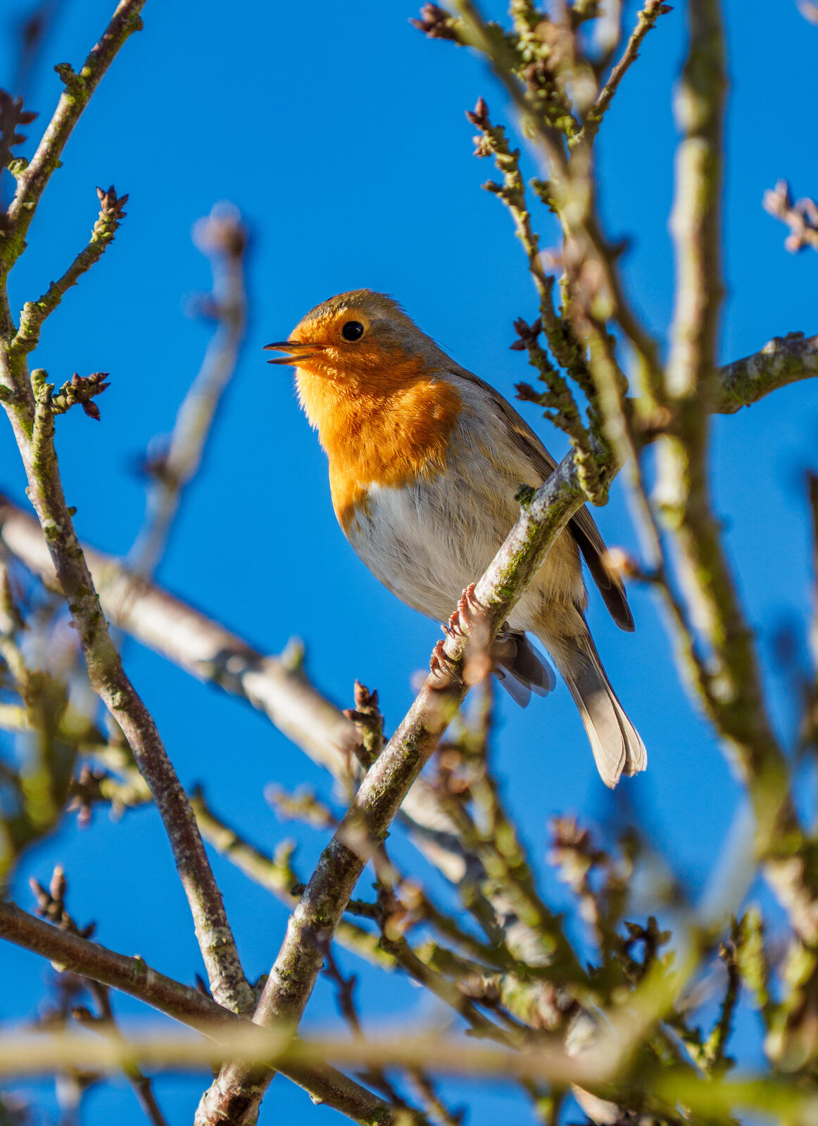 Click image for larger version

Name:	P3030008.jpg
Views:	552
Size:	291.8 KB
ID:	1012050