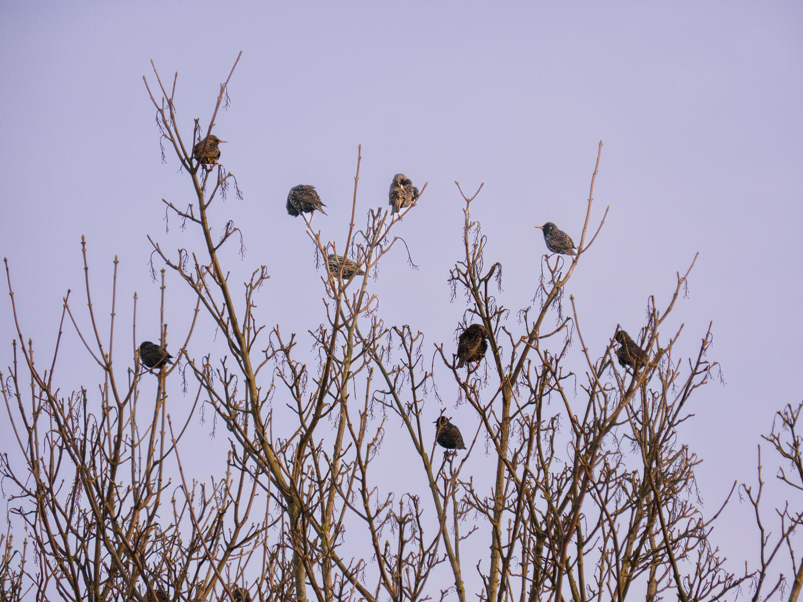 Click image for larger version

Name:	P3090052.jpg
Views:	33
Size:	360.4 KB
ID:	1013173