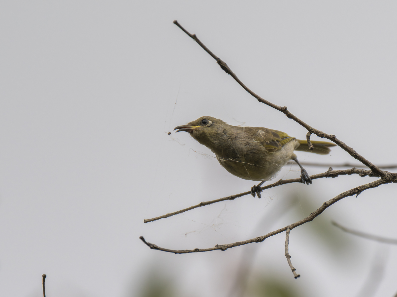 Click image for larger version

Name:	post-2.jpg
Views:	453
Size:	555.6 KB
ID:	1013902