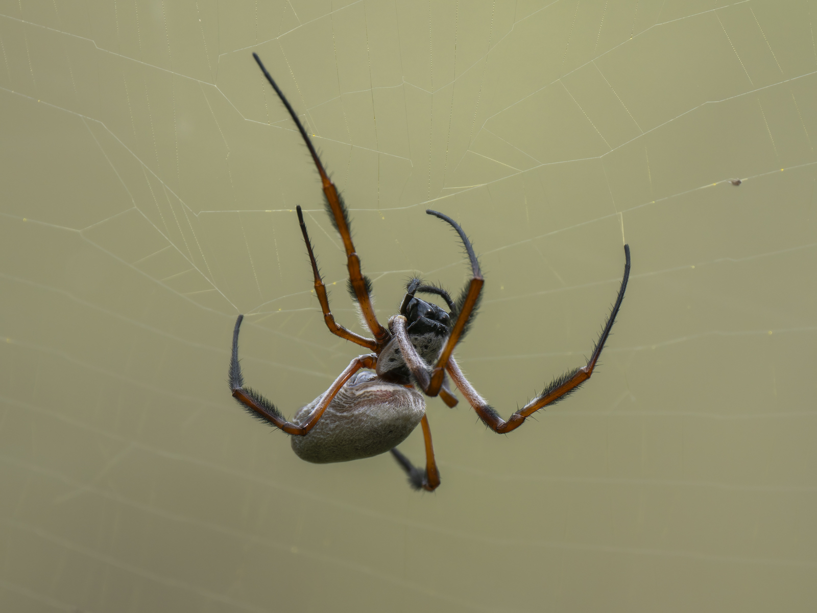 Click image for larger version

Name:	post-3.jpg
Views:	50
Size:	598.8 KB
ID:	1013903