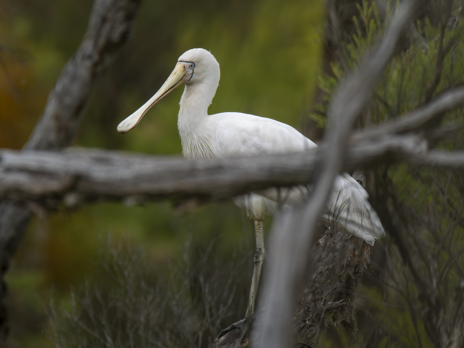 Click image for larger version

Name:	post-6.jpg
Views:	52
Size:	707.7 KB
ID:	1013905