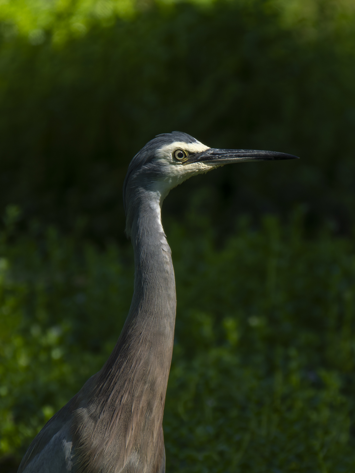 Click image for larger version

Name:	post-9.jpg
Views:	458
Size:	716.4 KB
ID:	1013914