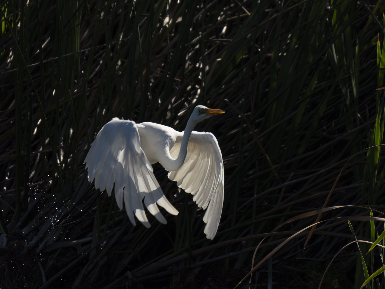 Click image for larger version

Name:	post-3.jpg
Views:	60
Size:	838.7 KB
ID:	1013915