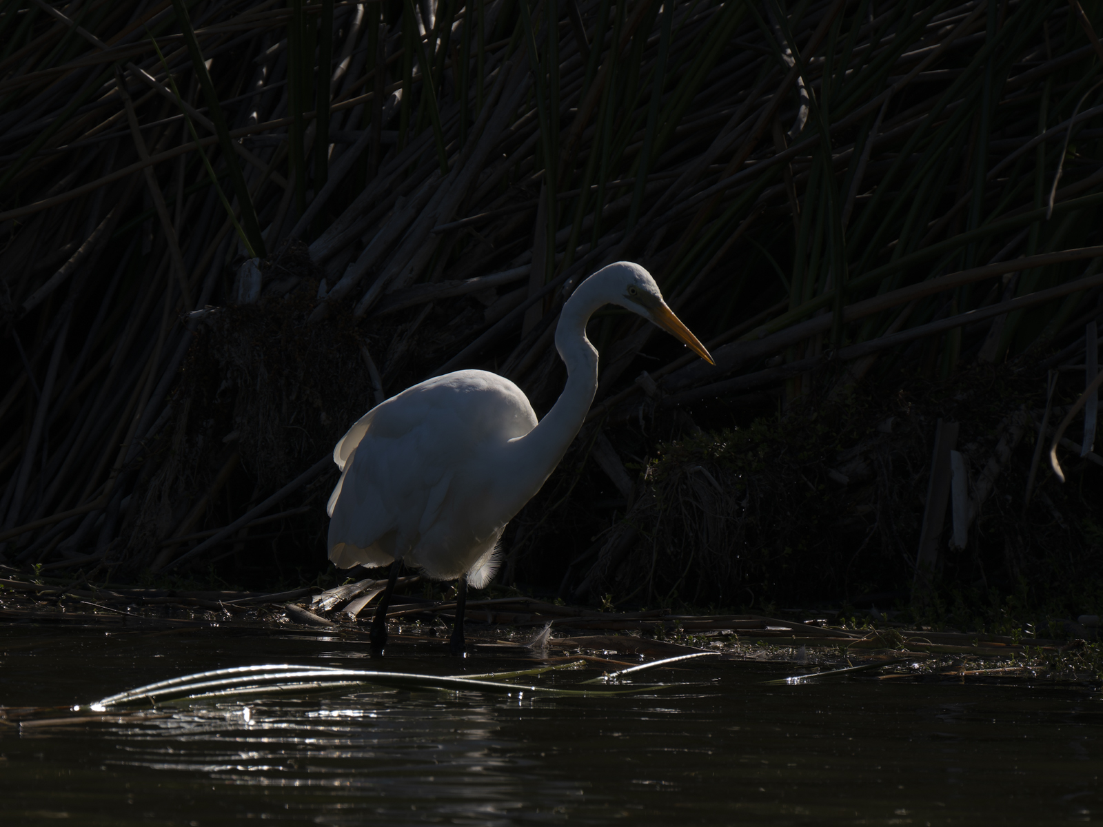 Click image for larger version

Name:	post-2.jpg
Views:	63
Size:	899.7 KB
ID:	1013917