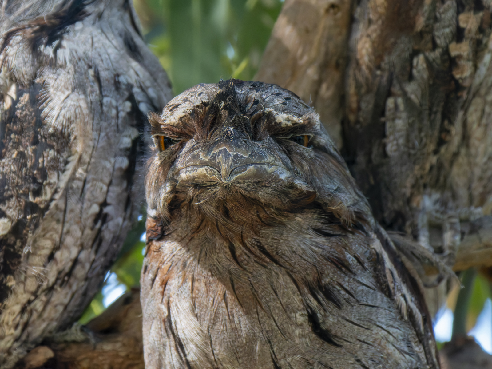 Click image for larger version

Name:	post-8.jpg
Views:	57
Size:	1.22 MB
ID:	1013919