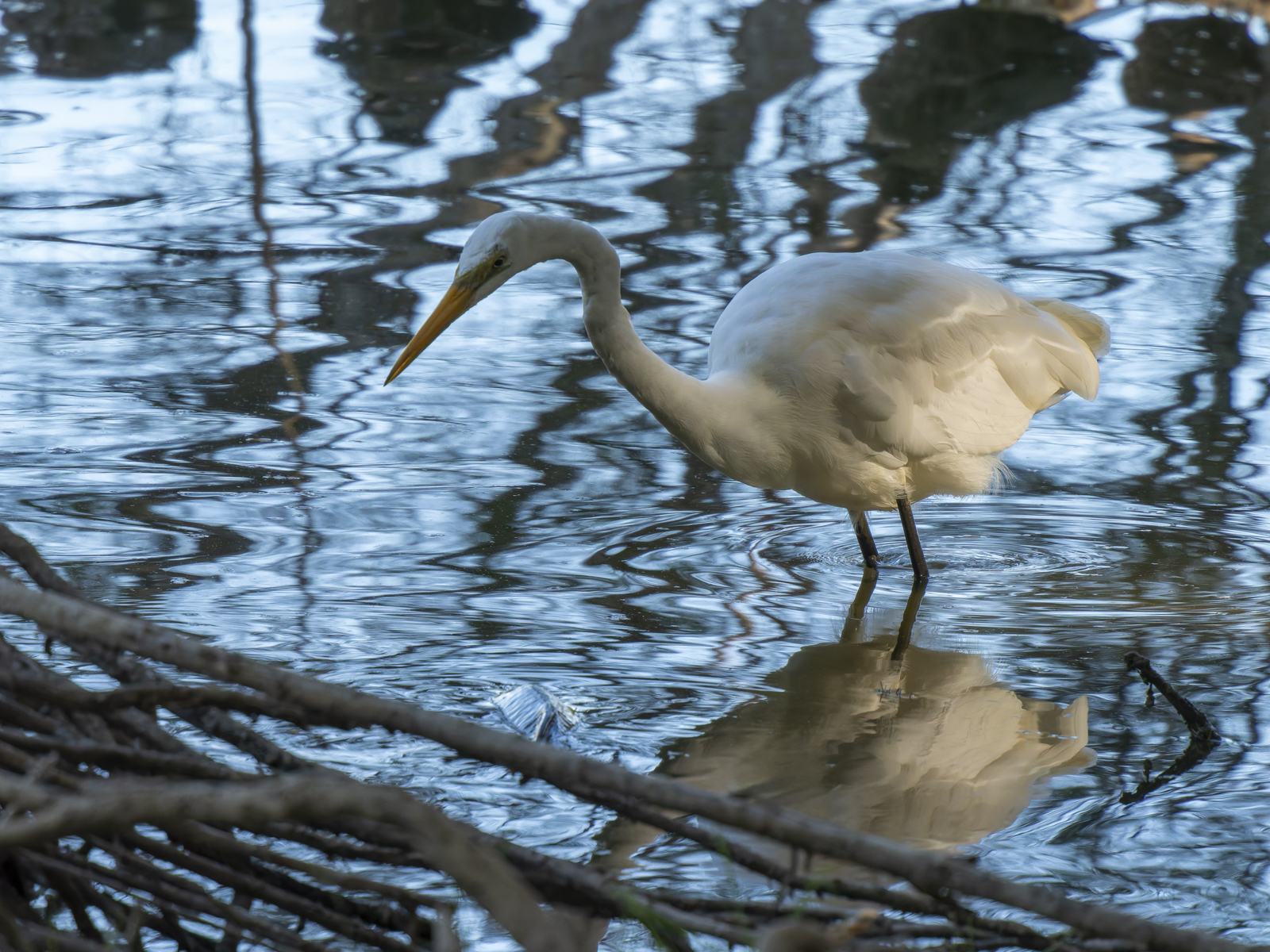 Click image for larger version

Name:	post-1.jpg
Views:	57
Size:	1.37 MB
ID:	1013920