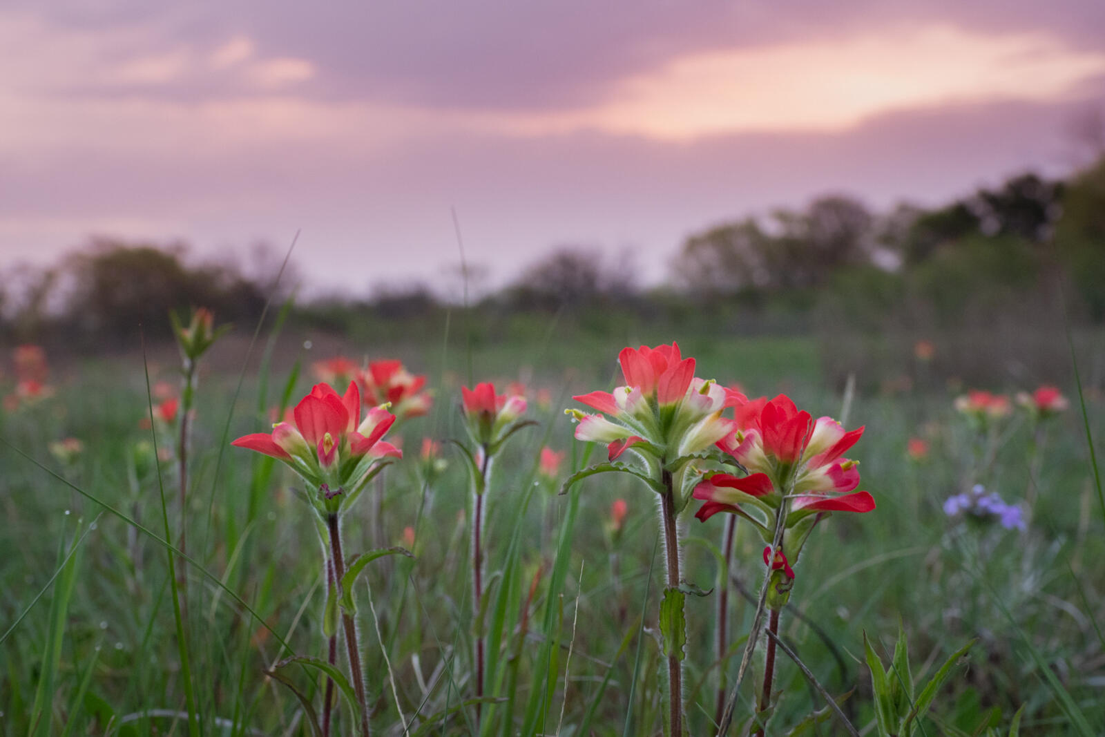 Click image for larger version

Name:	_3302309.jpg
Views:	386
Size:	194.4 KB
ID:	1015819