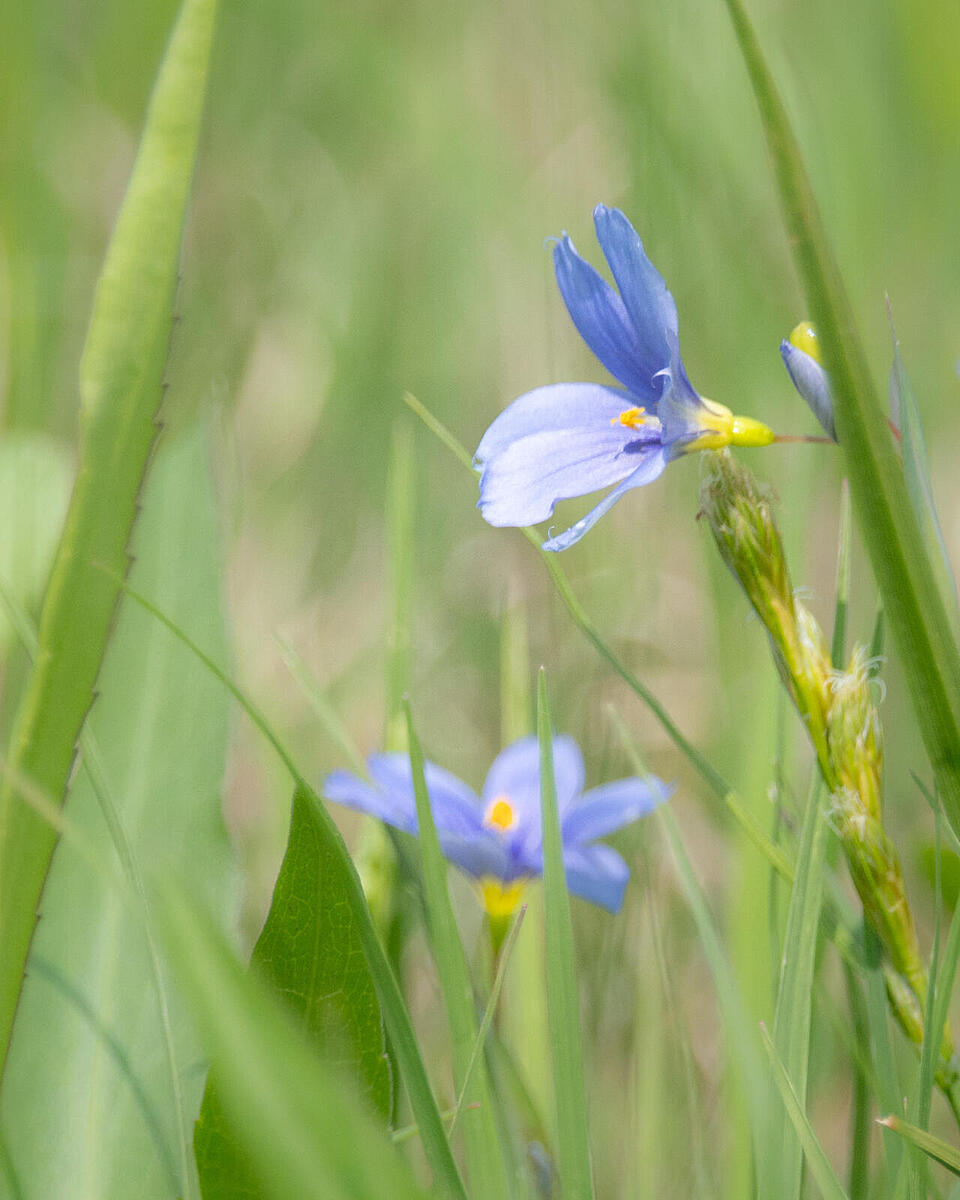 Click image for larger version

Name:	_4023185.jpg
Views:	71
Size:	196.8 KB
ID:	1015822