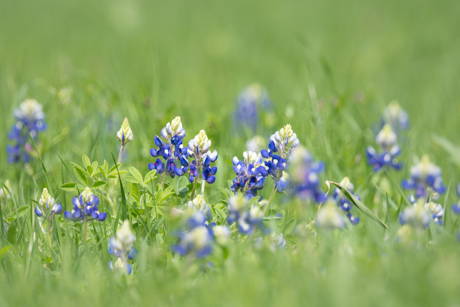 Click image for larger version

Name:	_4023191.jpg
Views:	58
Size:	205.9 KB
ID:	1015820