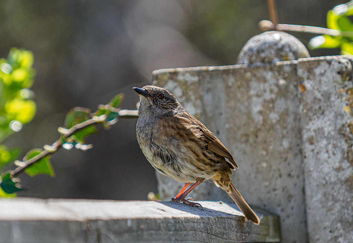 Click image for larger version  Name:	P4070044.jpg Views:	0 Size:	234.2 KB ID:	1016311