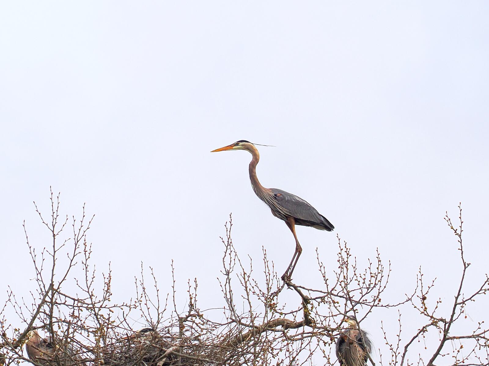 Click image for larger version

Name:	P4041663_filtered.jpg
Views:	527
Size:	209.9 KB
ID:	1016400