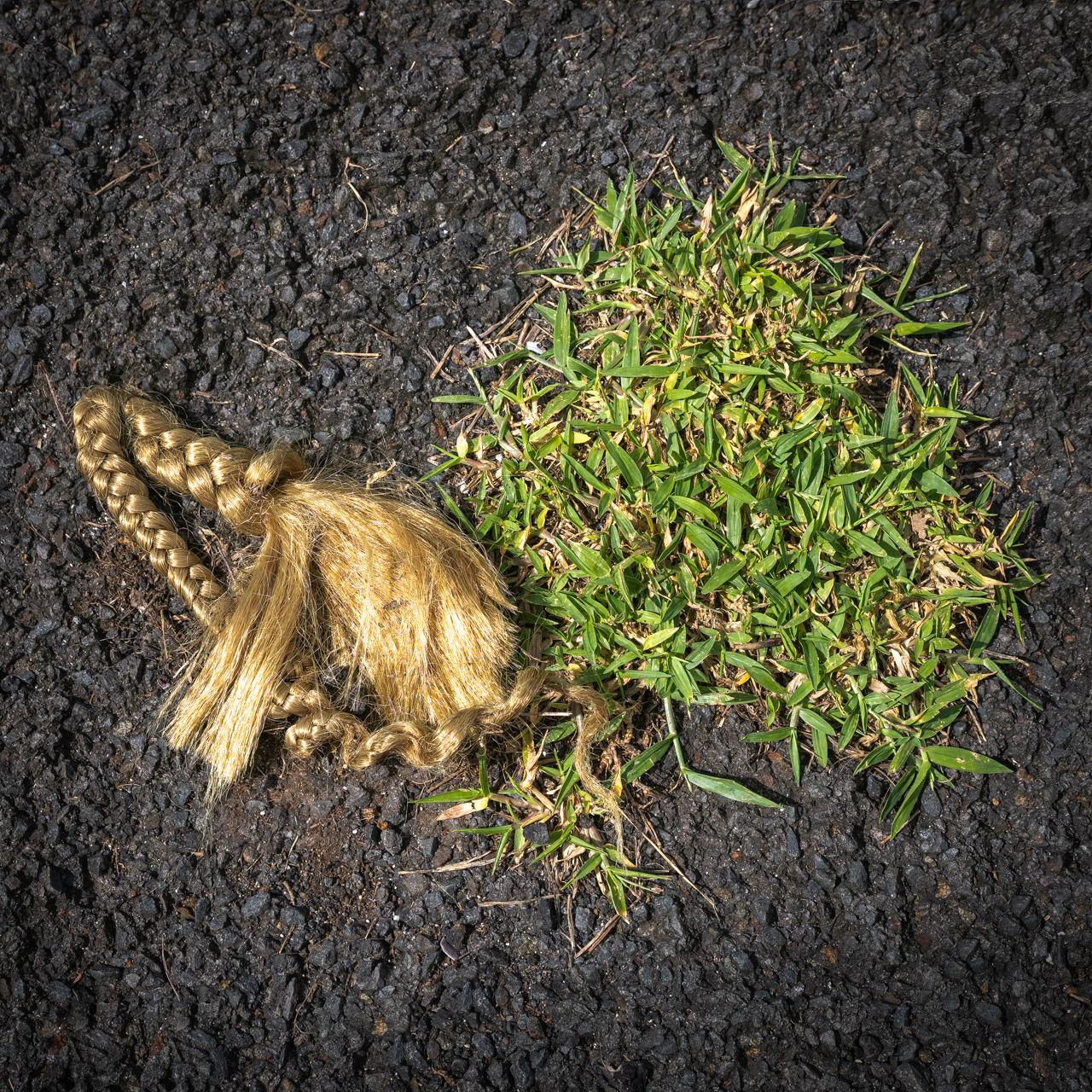 Click image for larger version

Name:	Beach Detail.jpg
Views:	401
Size:	2.25 MB
ID:	1016613