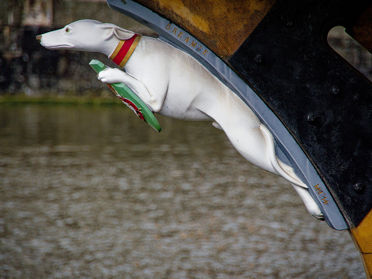 Click image for larger version

Name:	P4180014_DxO.jpg
Views:	77
Size:	277.0 KB
ID:	1018041