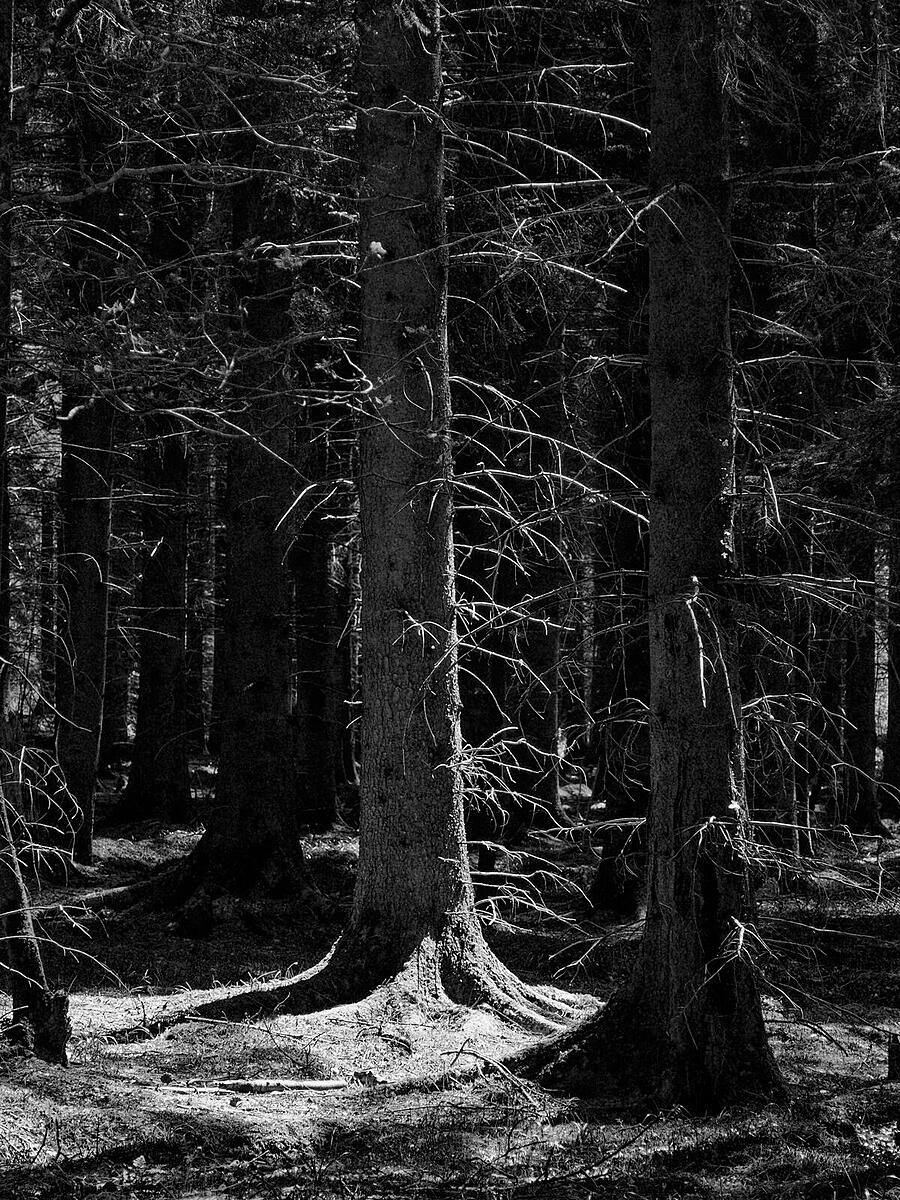 Click image for larger version

Name:	P5010110_DxO.jpg
Views:	38
Size:	481.0 KB
ID:	1019282