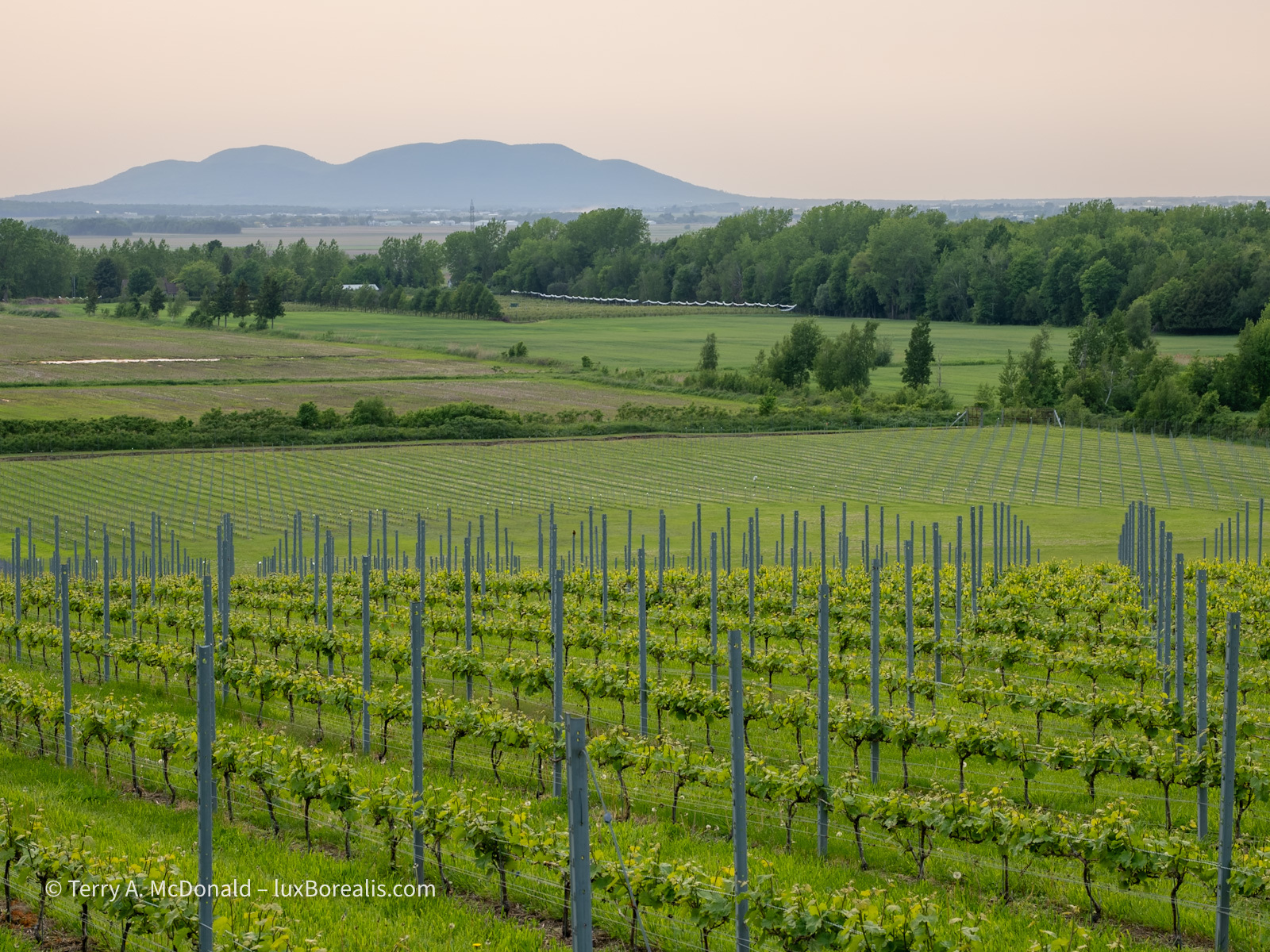 Click image for larger version

Name:	_OMR5147.jpg
Views:	388
Size:	982.8 KB
ID:	1022604