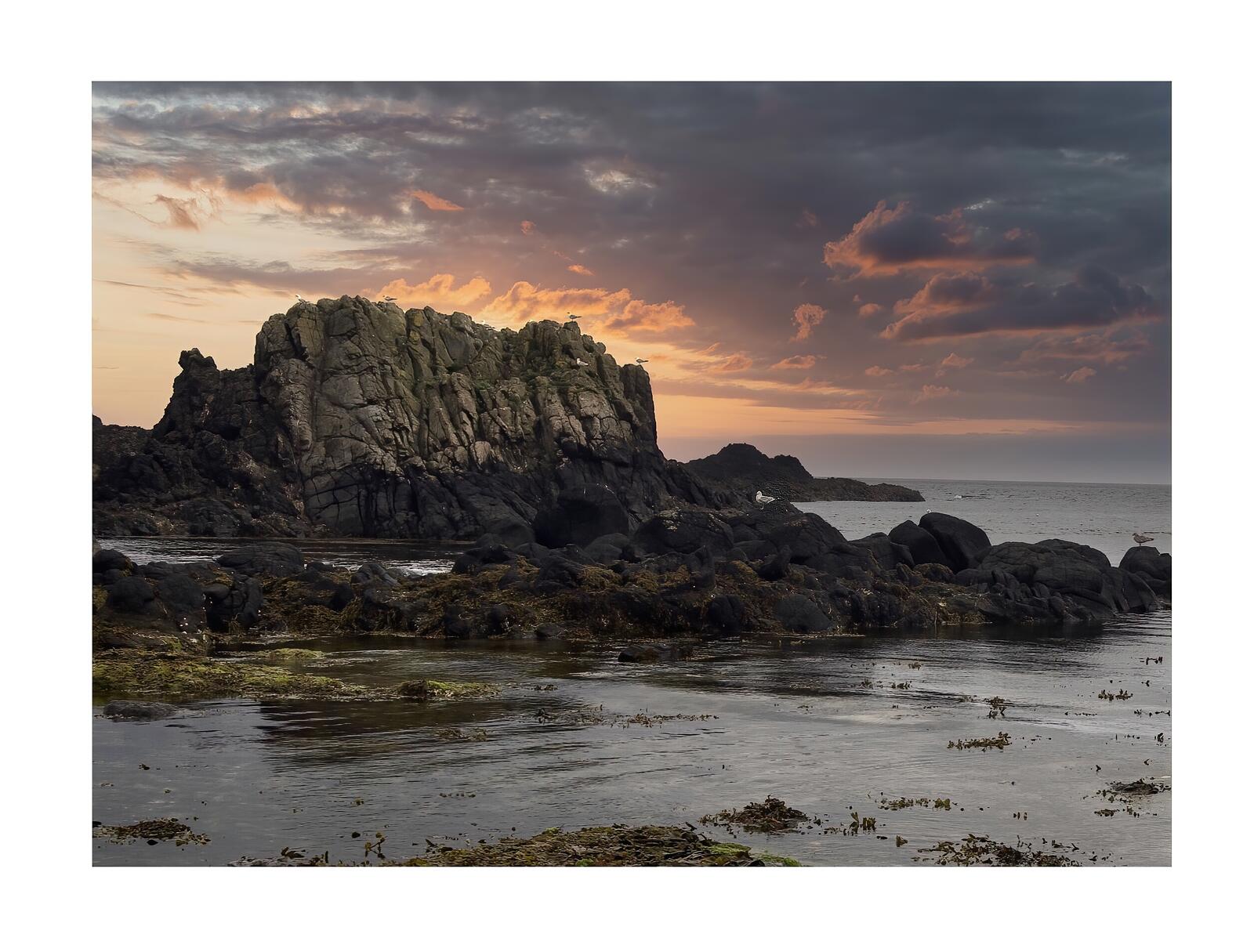 Click image for larger version

Name:	P6280032_SnapseedCopy_SnapseedCopy-DeNoiseAI-standard.jpg
Views:	361
Size:	215.6 KB
ID:	1024396