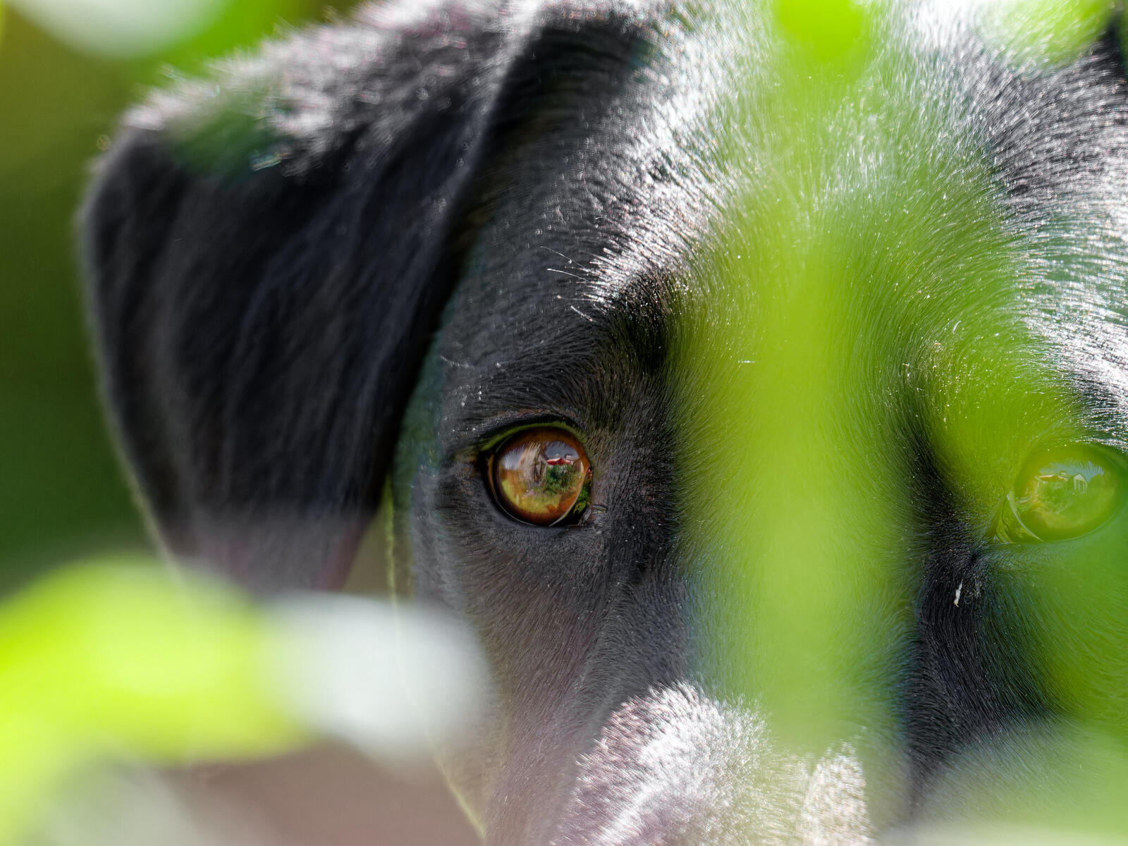 Click image for larger version

Name:	53737953087_ea1daff573_k.jpg
Views:	430
Size:	273.1 KB
ID:	1024492